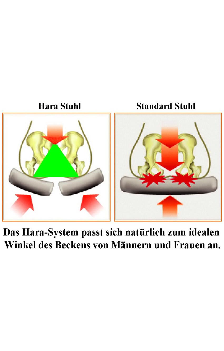 Ergonomischer Bürostuhl HARASTUHL NIE