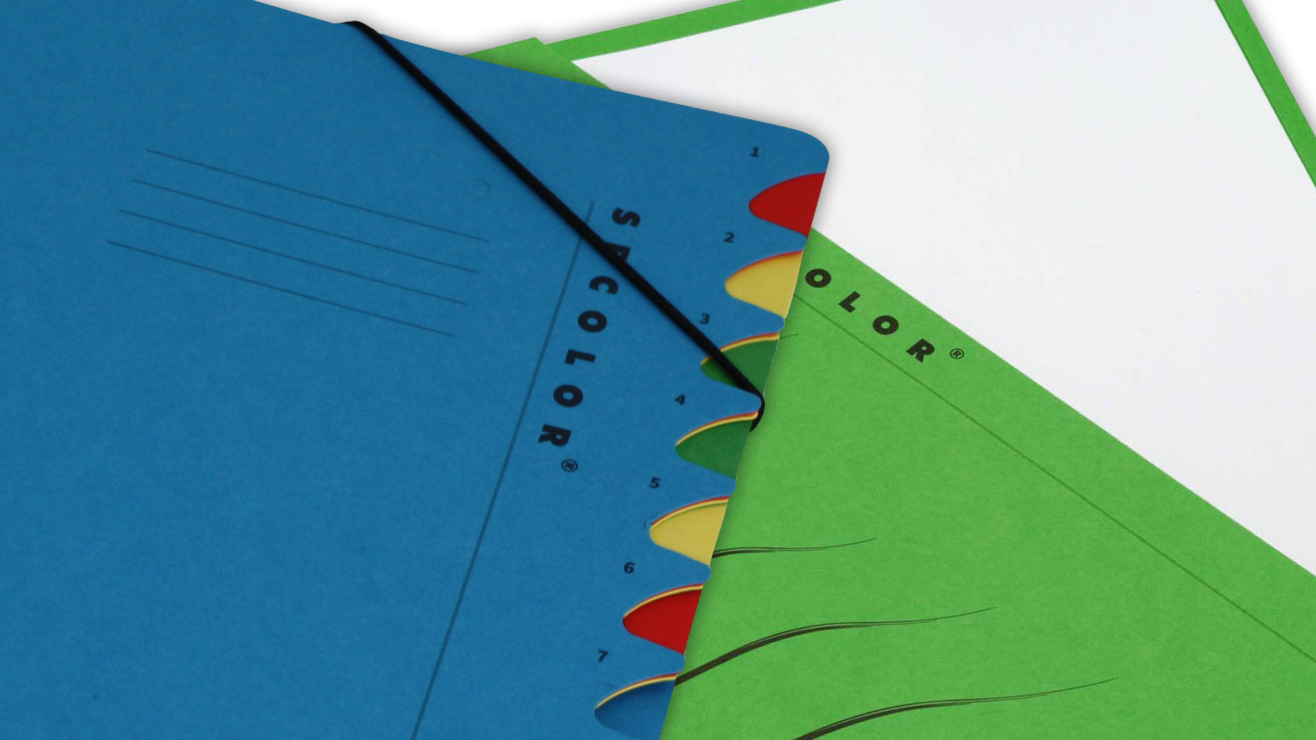 Sichtmappen und Sammelmappen zur sicheren Aufbewahrung von losem Schriftgut Sichtmappen und Sammelmappen zur sicheren Aufbewahrung von losem Schriftgut