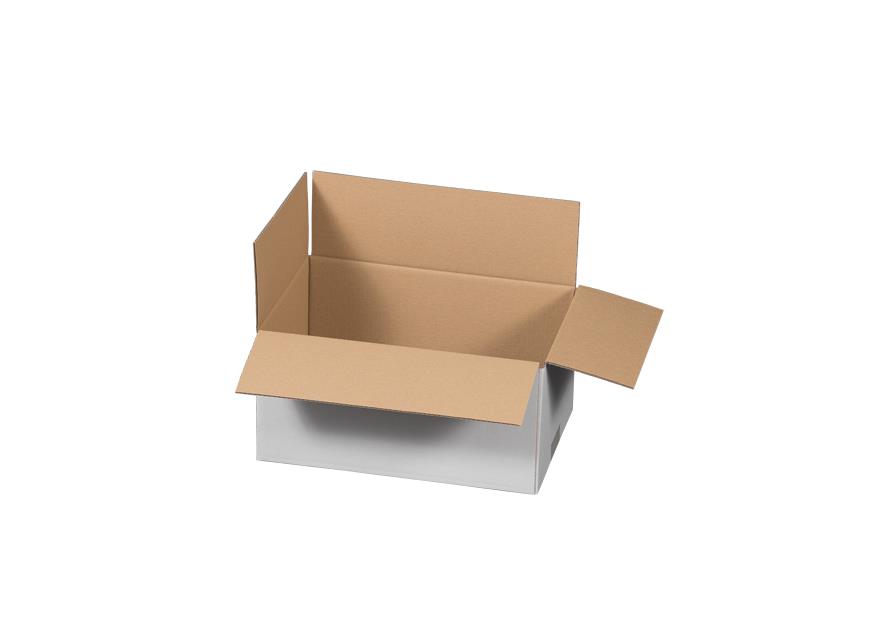 Verpackungskarton, Wellpappe einwellig