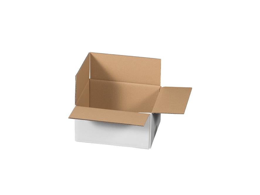 Verpackungskarton, Wellpappe einwellig