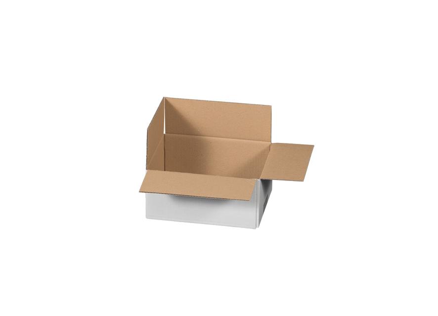 Verpackungskarton, Wellpappe einwellig